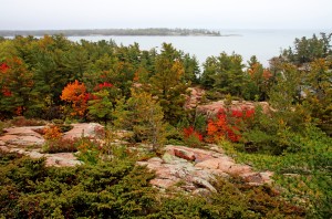 Pine Ridge I